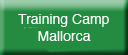 training camp mallorca with running crazy